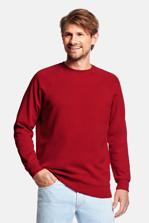 Chillies * Die Easies Pullover